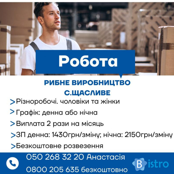 Робота на харчовому виробництві з безкоштовним проживанням у с. Щаслив - изображение 1