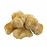 Функціональні гриби для здоров'я в Україні