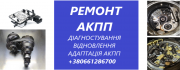 Діагностика та ремонт АКПП 6DCT450, 6DCT250 DSG CVT EDC W6DGB 6T40 8F
