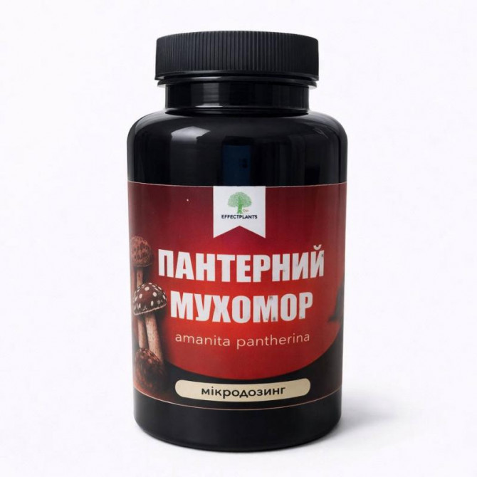 Пантерный мухомор микродозинг 100 капсул 50 г — энергия, ясность, внут - изображение 1