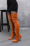 Ботфорти жіночі Fashion Wasp 3363 35 розмір 23 см Гірчичний