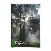 Блокнот для записів у клітинку А4 YES 7 БЦ Nature 152033 80 аркуш...