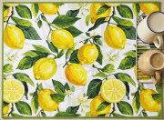 Килимок для сушіння посуду Ardesto Sicilian lemons ART17LM 38х51 ...