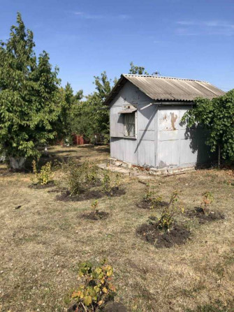 Продам дачу , Валківський район - изображение 1