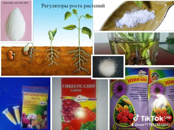 Регуляторы роста растений - изображение 1